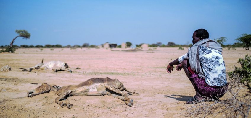 ETHIOPIA-CLIMATE-AGRICULTURE-DROUGHT-LIVESTOCK