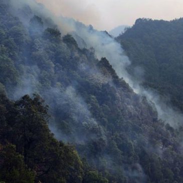 Gli incendi boschivi minacciano l’Himalaya