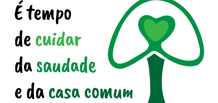 I vescovi del Brasile: «Piantiamo un albero per ricordare i defunti»