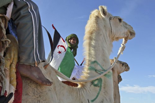 I saharawi hanno un nuovo presidente