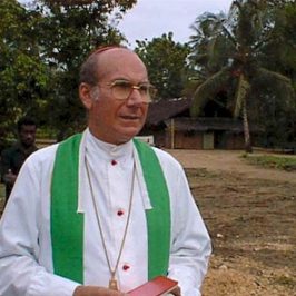 Papua Nuova Guinea: dopo Bonivento a Vanimo un vescovo locale