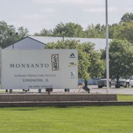 La Monsanto sotto processo all’Aia