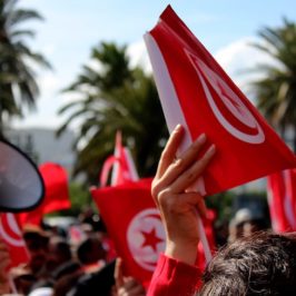 Tunisia, la rivoluzione saccheggiata