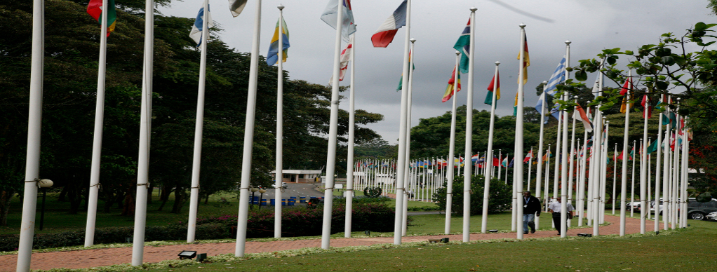 Nel palazzo verde dell’Onu a Nairobi il Papa di «Laudato Si’»