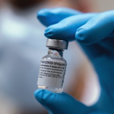 È Palau il Paese con la più alta percentuale di vaccinati contro il Covid-19