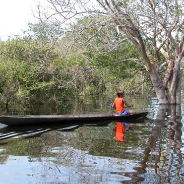 L’Amazzonia sta perdendo anche l’acqua