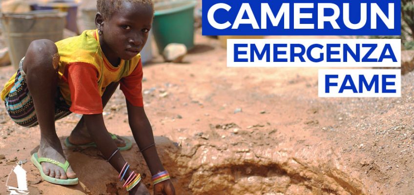 banner-camerun-fame-big-logo