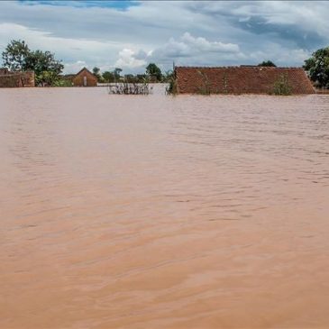 Inondazioni in Camerun: emergenza nell’Estremo Nord
