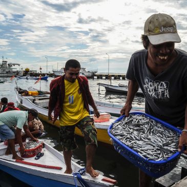 Pesca: entra in vigore la Convenzione che tutela il lavoro