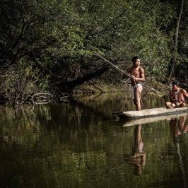Clima: le popolazioni indigene ci salvano