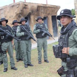 Messico, l’esercito che difende gli avocado