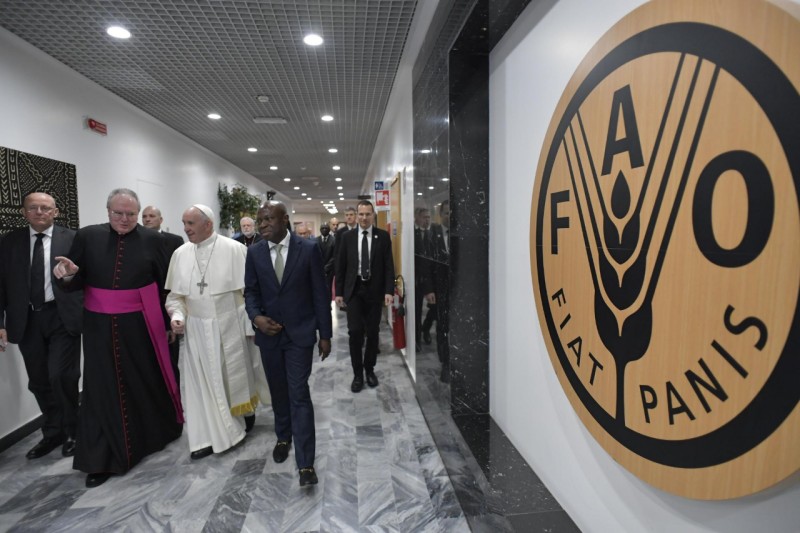 Il Papa alla Fao: «Impegni concreti per sconfiggere la fame»