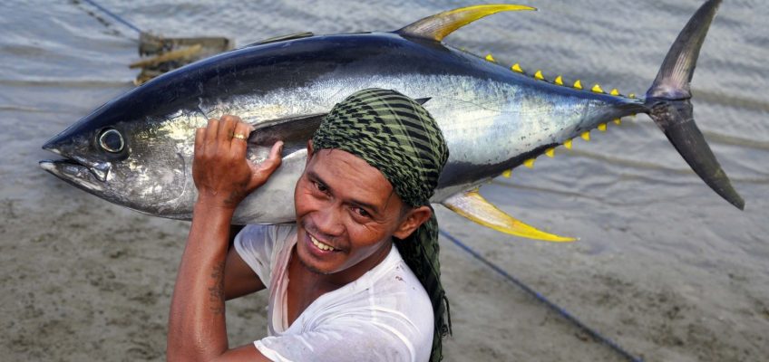 Il consumo di pesce penalizza il sud del mondo