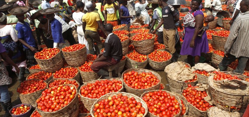 Tomatoes are displayed in baskets for sale at a local food market in Lagos