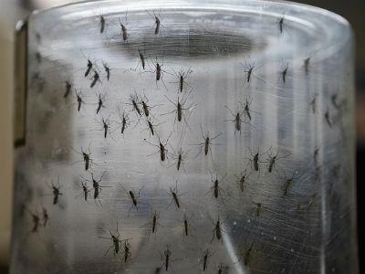 Zika: è tra i poveri la vera emergenza
